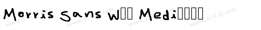 Morris Sans W01 Medi字体转换